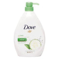 DOVE BODY WASH - 1L/FRESH TOUCH (SKU 10858) - Fraterra Home powered by KB Logistics & Distribution LLC