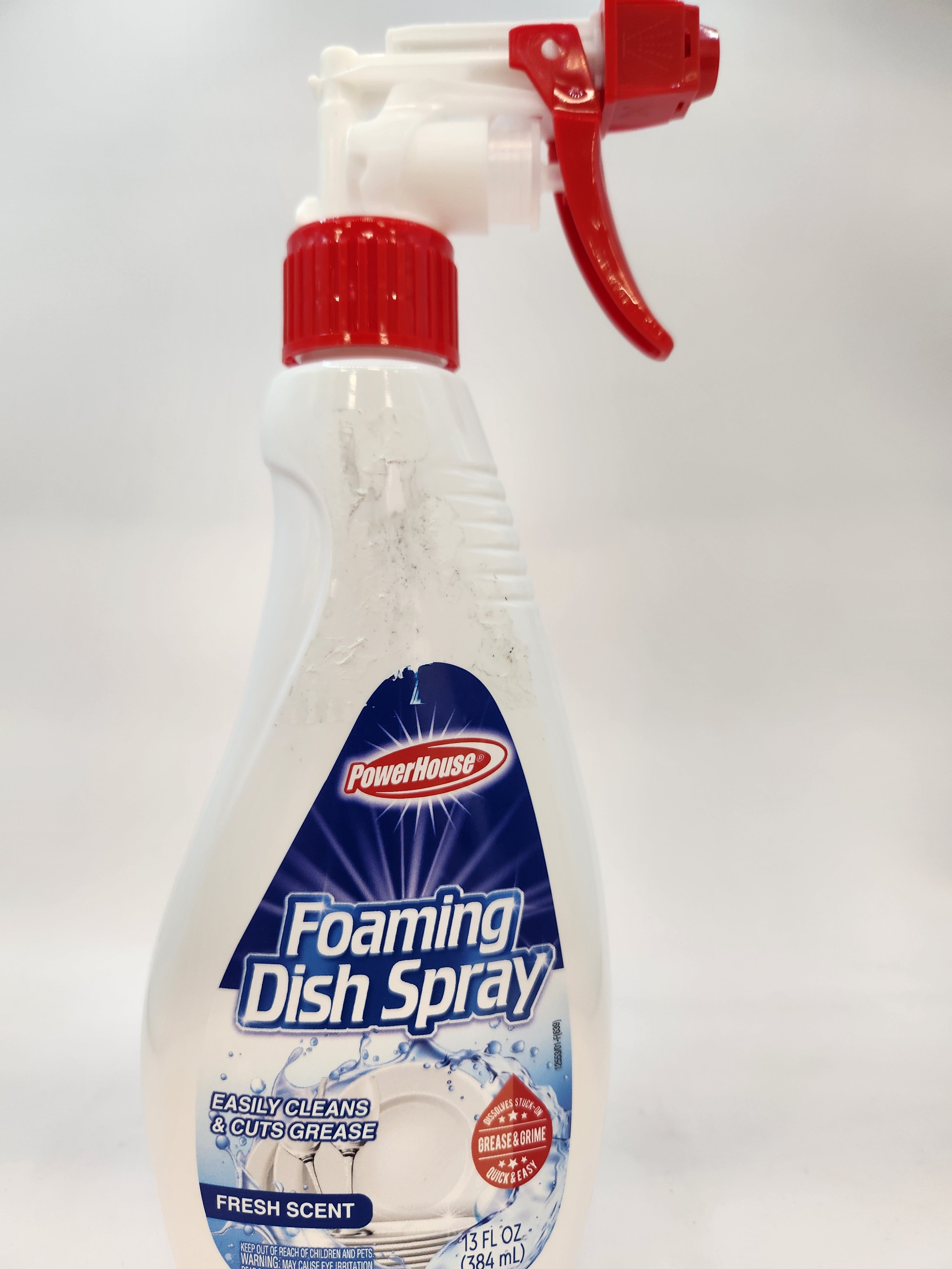 FOAMING DISH SPRAY 13oz #12553 (SKU #60632)