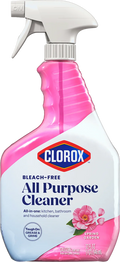 CLOROX #60820 ALL PURPOSE CLNR 32oz SPRING GARDEN (SKU #11673)