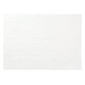 LP100 10X14 WHITE PLACEMAT (1000CT) (SKU #70481)